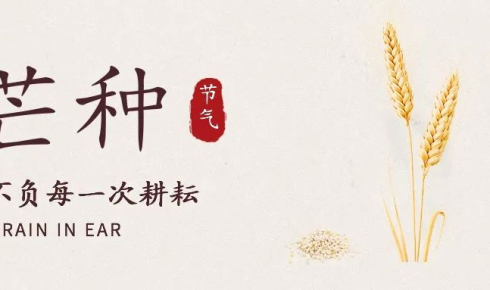 芒種復工 | 忙有所得 全力以「復」